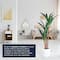 American Art Decor 48" Artificial Yuca Plant in a White Pot